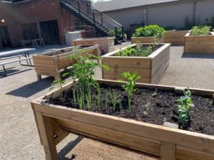DNCAP's Accessible Community Gardens